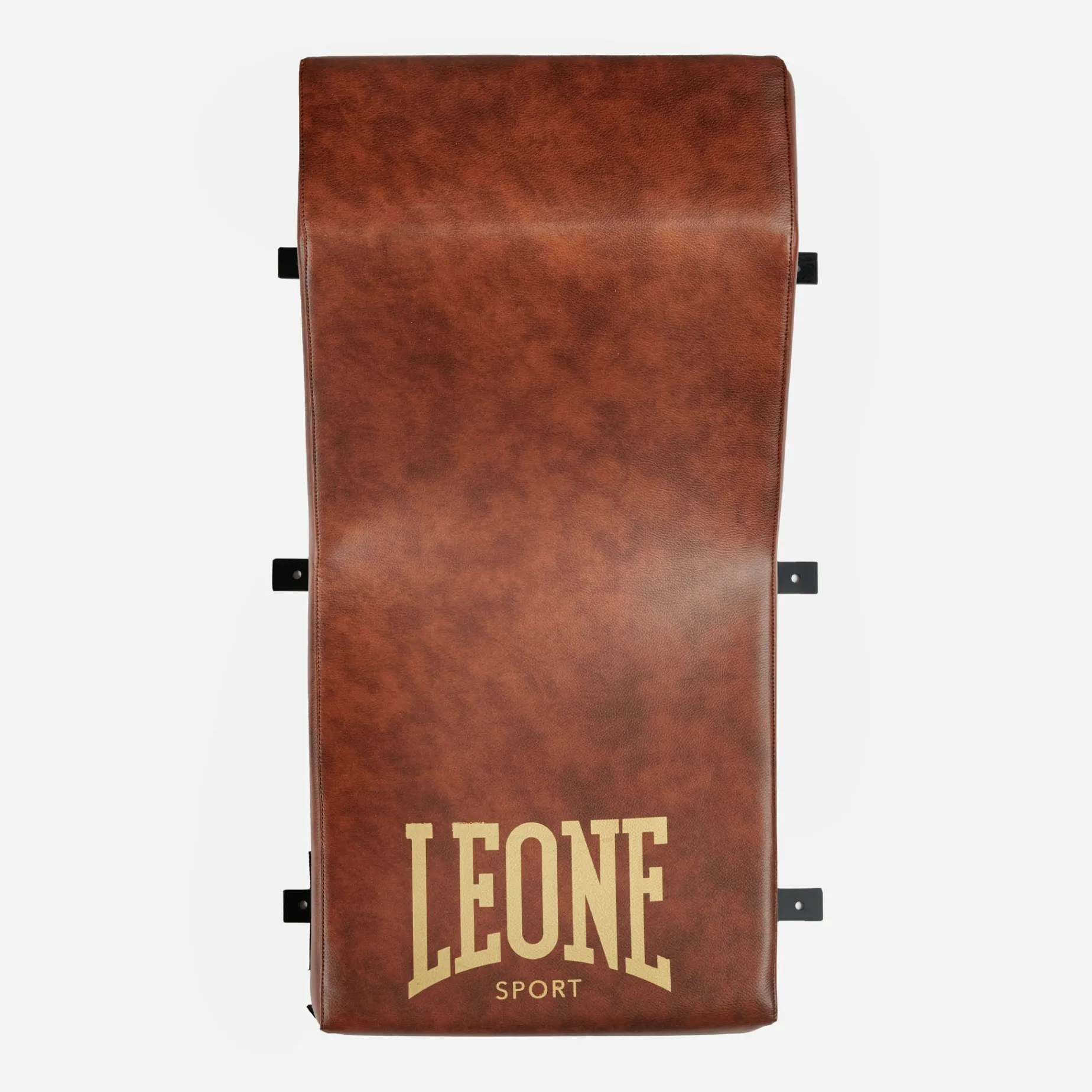 ATENA VINTAGE WALL MOUNT TRAINING BAG