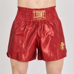 BASIC 2 KICK SHORTS