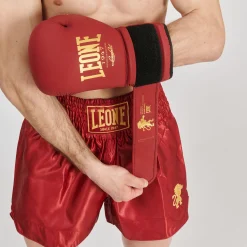 BASIC 2 KICK SHORTS