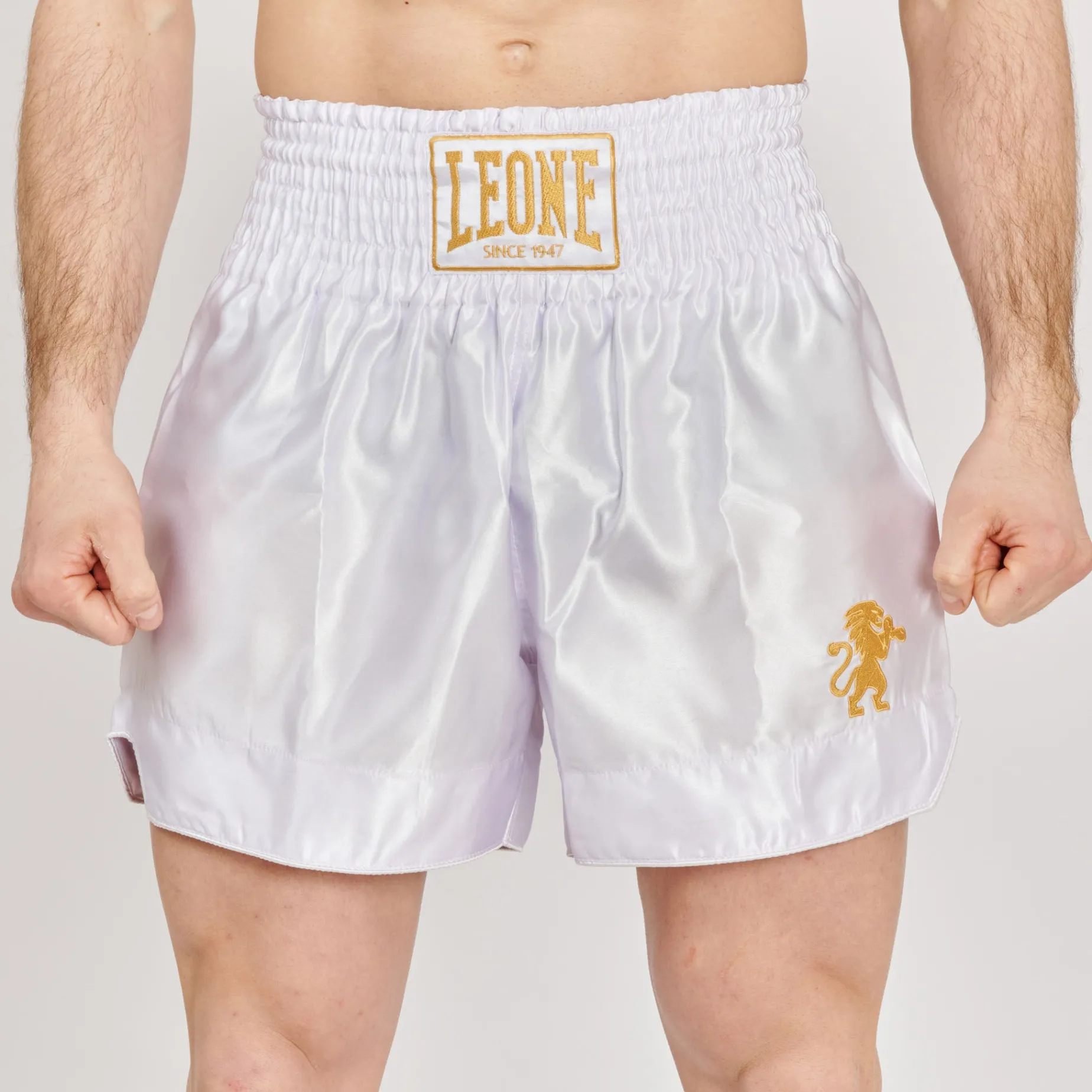 BASIC 2 KICK SHORTS