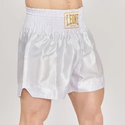 BASIC 2 KICK SHORTS