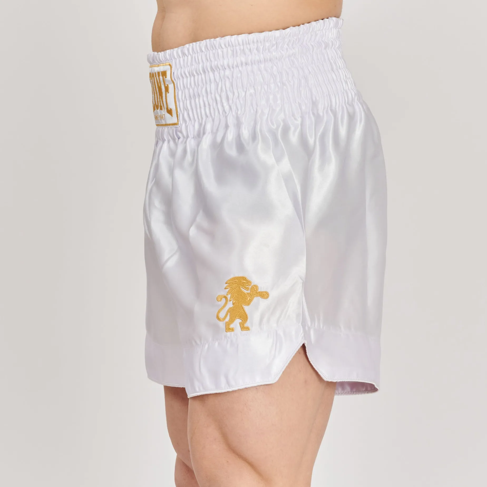 BASIC 2 KICK SHORTS