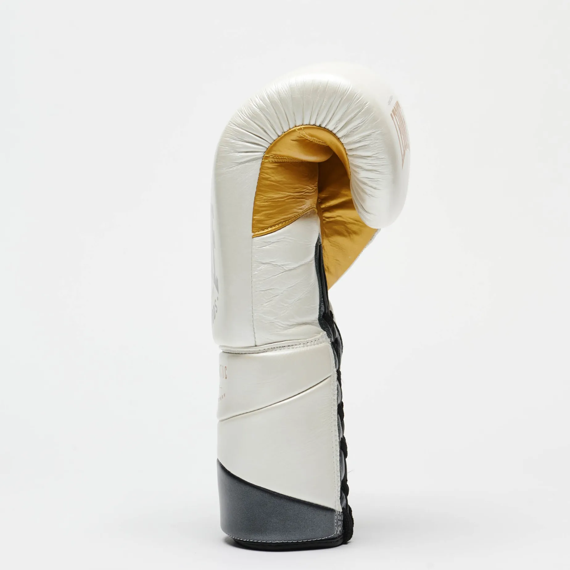 BOXING GLOVES AUTHENTIC 2
