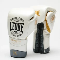 BOXING GLOVES AUTHENTIC 2