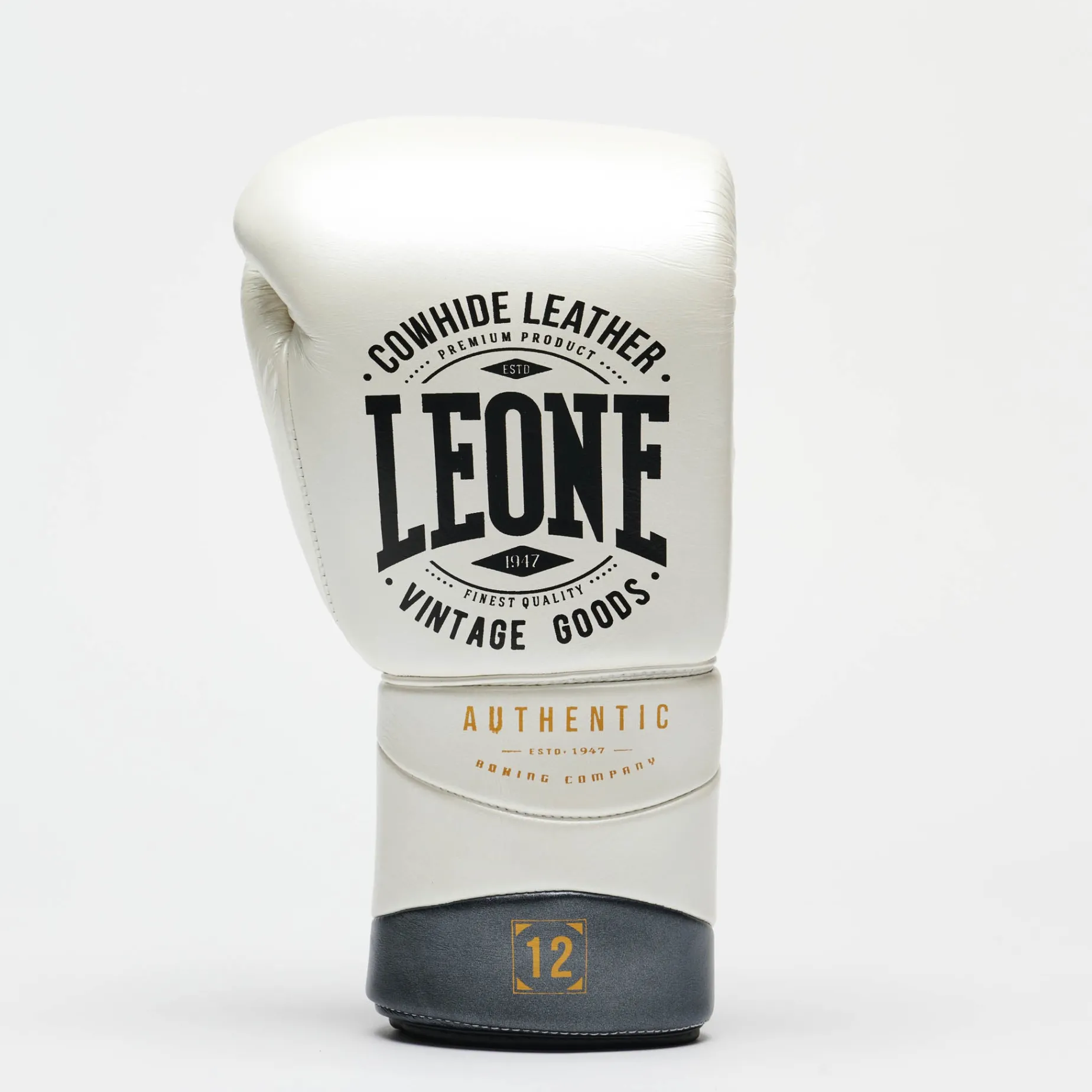 BOXING GLOVES AUTHENTIC 2
