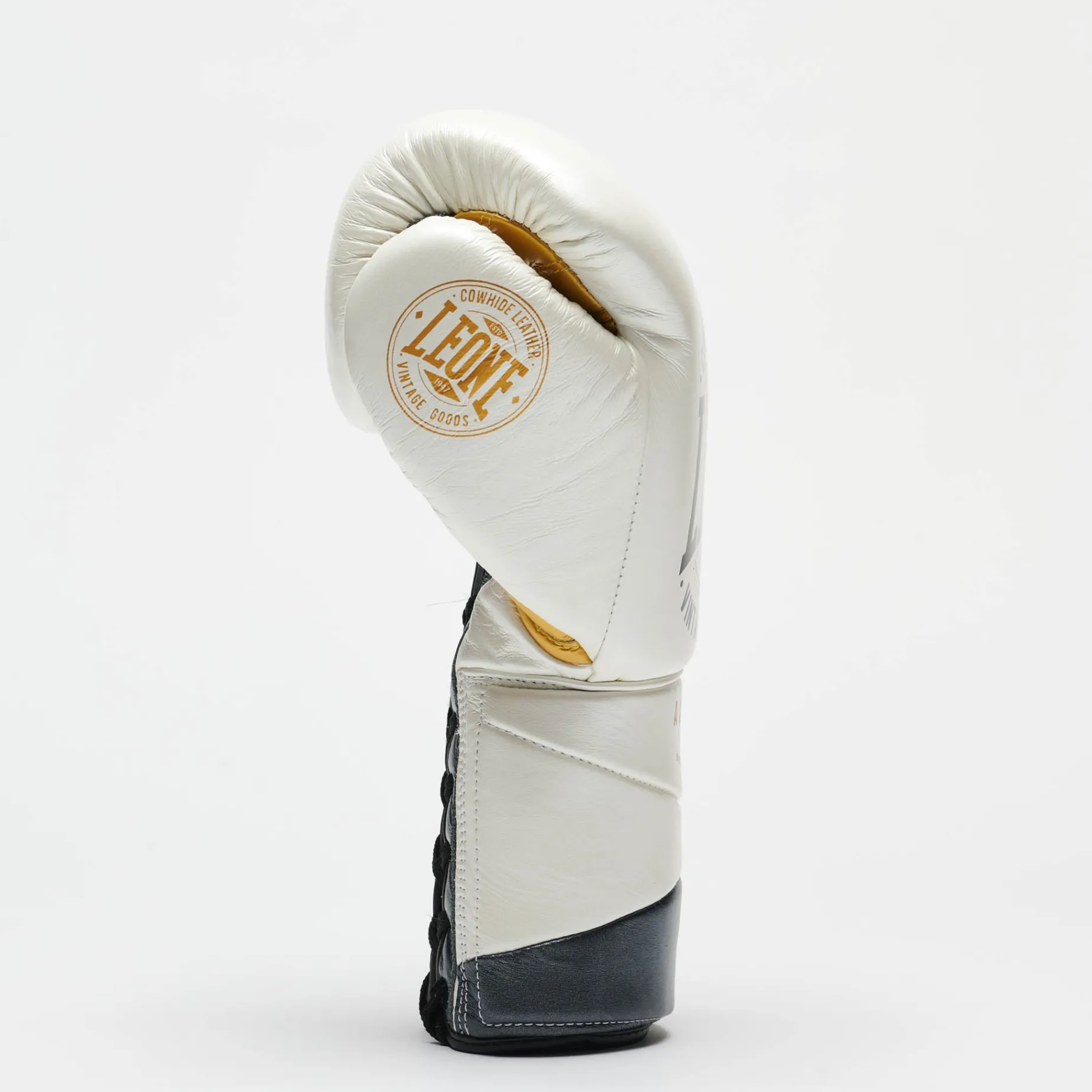 BOXING GLOVES AUTHENTIC 2