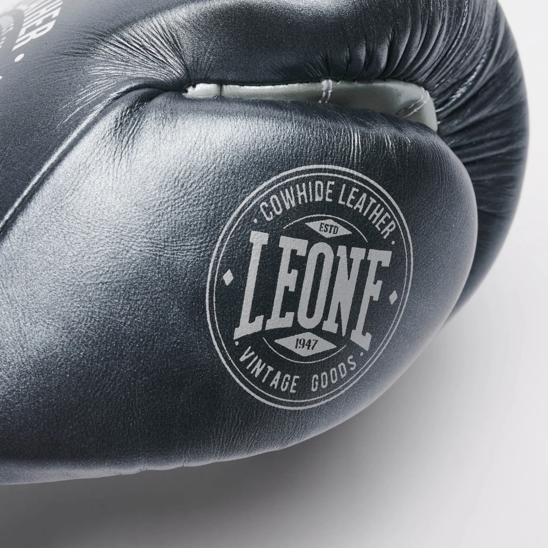 BOXING GLOVES AUTHENTIC 2