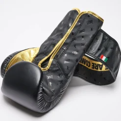 BOXING GLOVES DNA