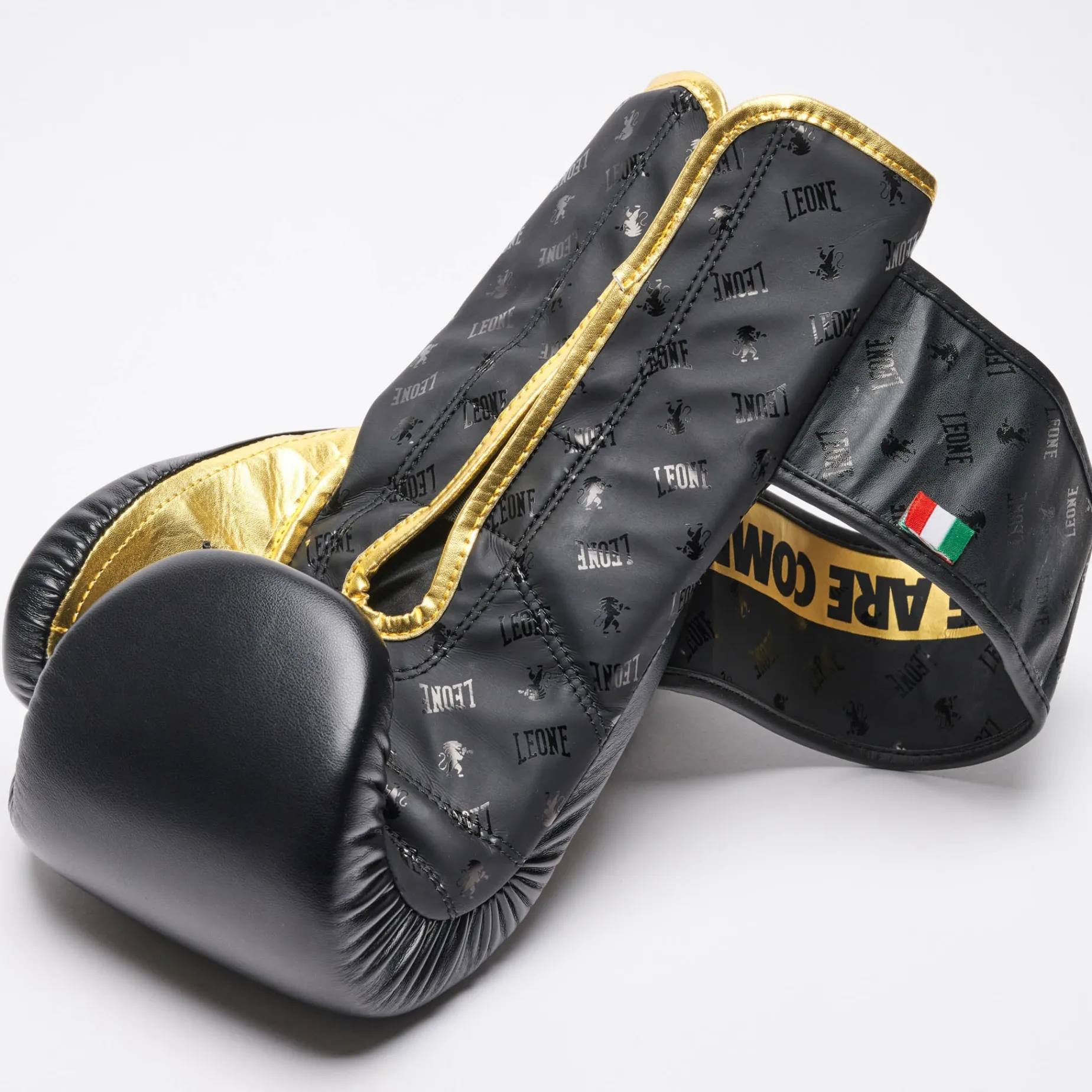 BOXING GLOVES DNA