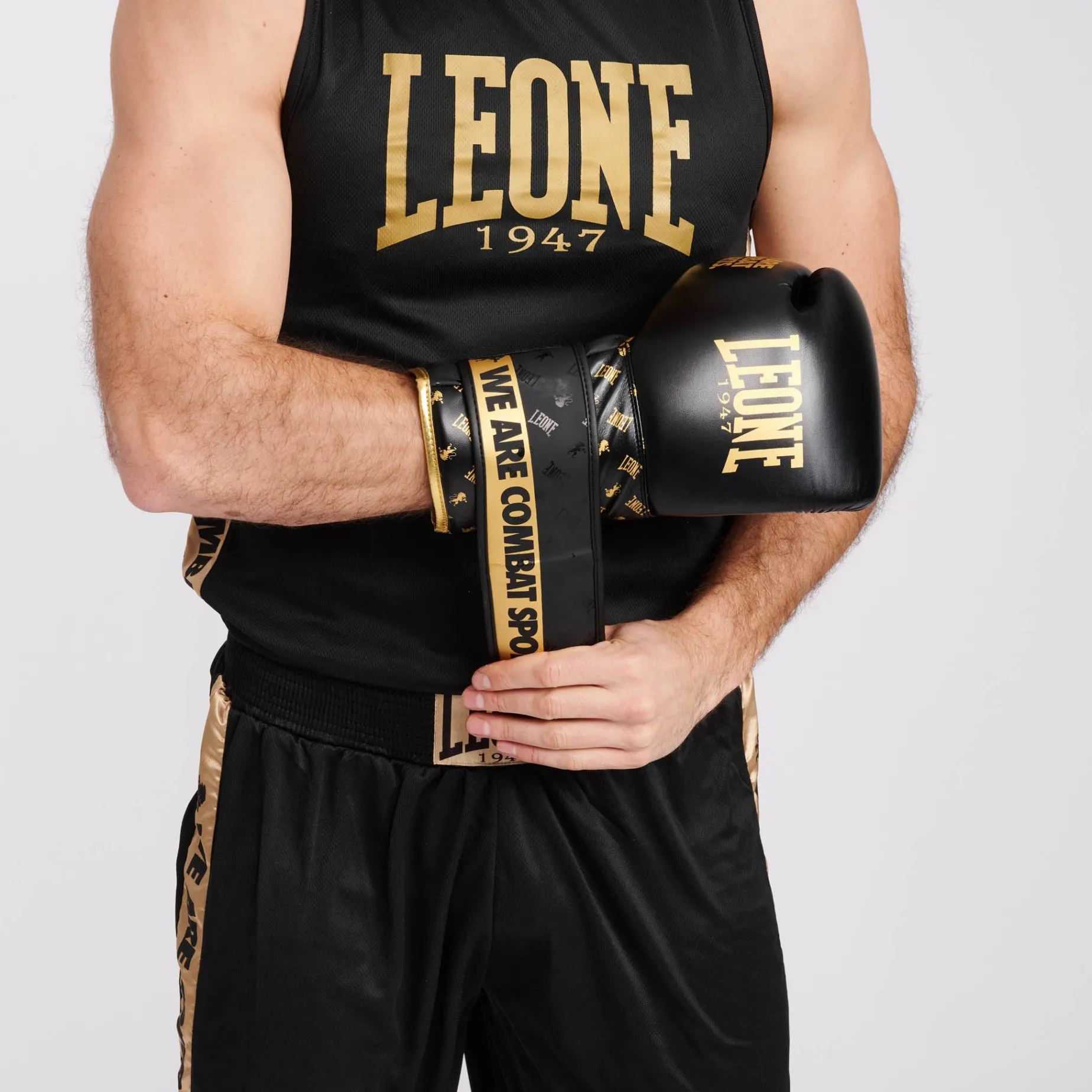 BOXING GLOVES DNA