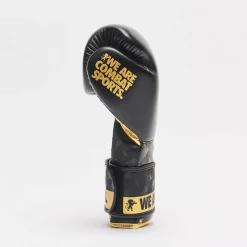 BOXING GLOVES DNA