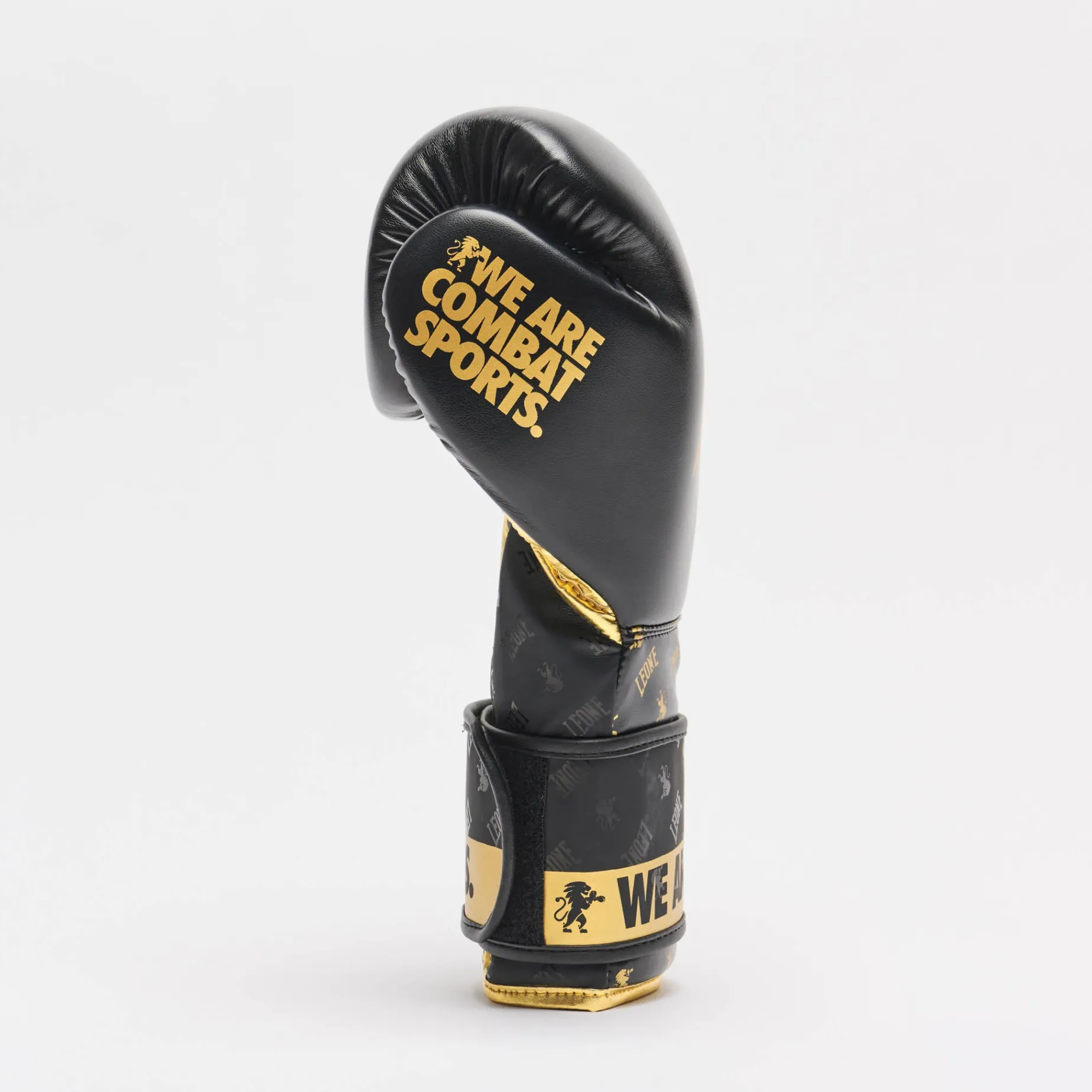 BOXING GLOVES DNA