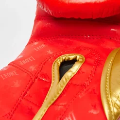 BOXING GLOVES DNA
