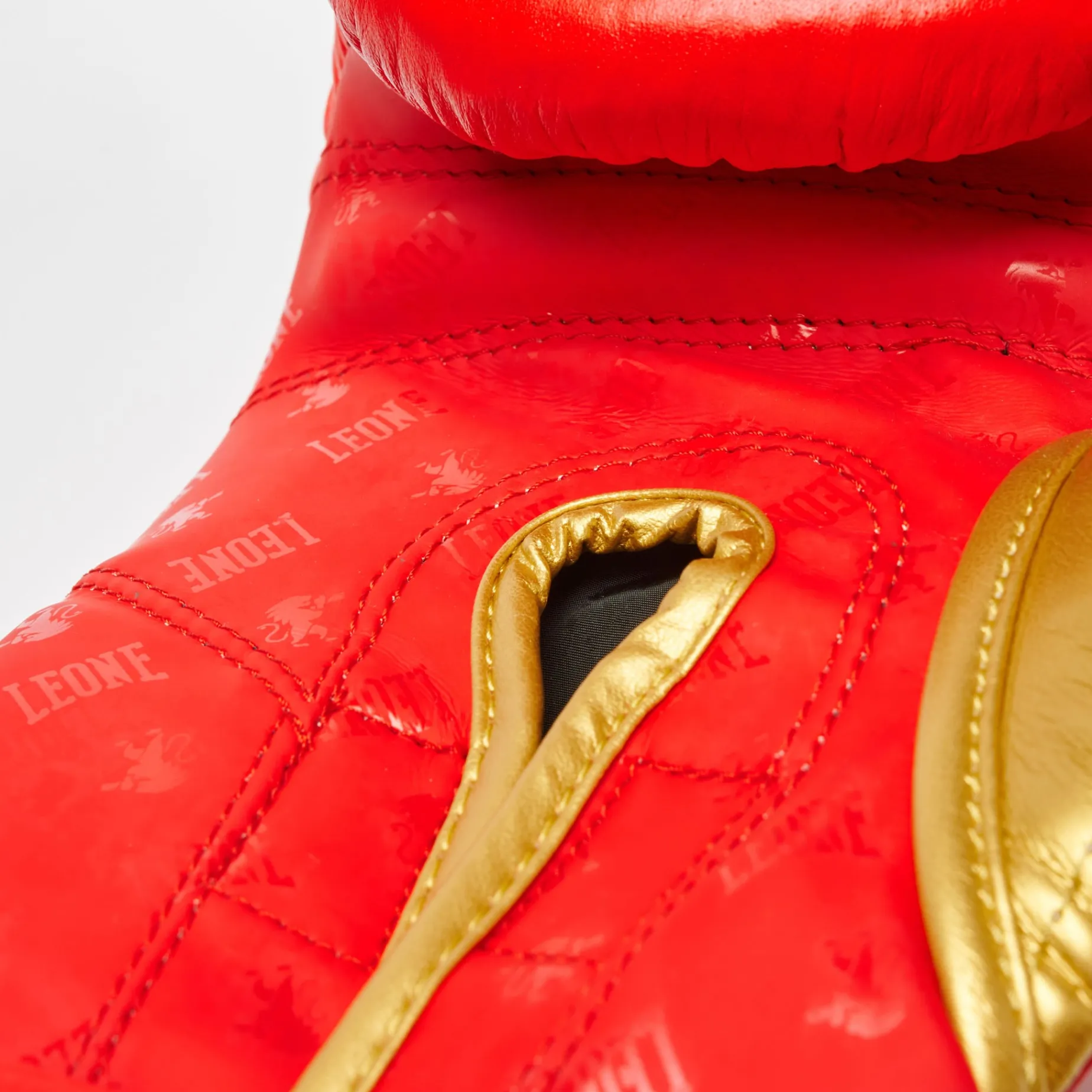 BOXING GLOVES DNA