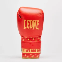 BOXING GLOVES DNA
