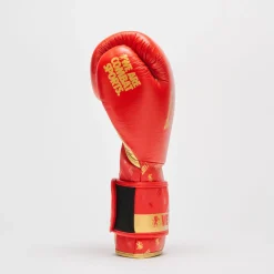 BOXING GLOVES DNA