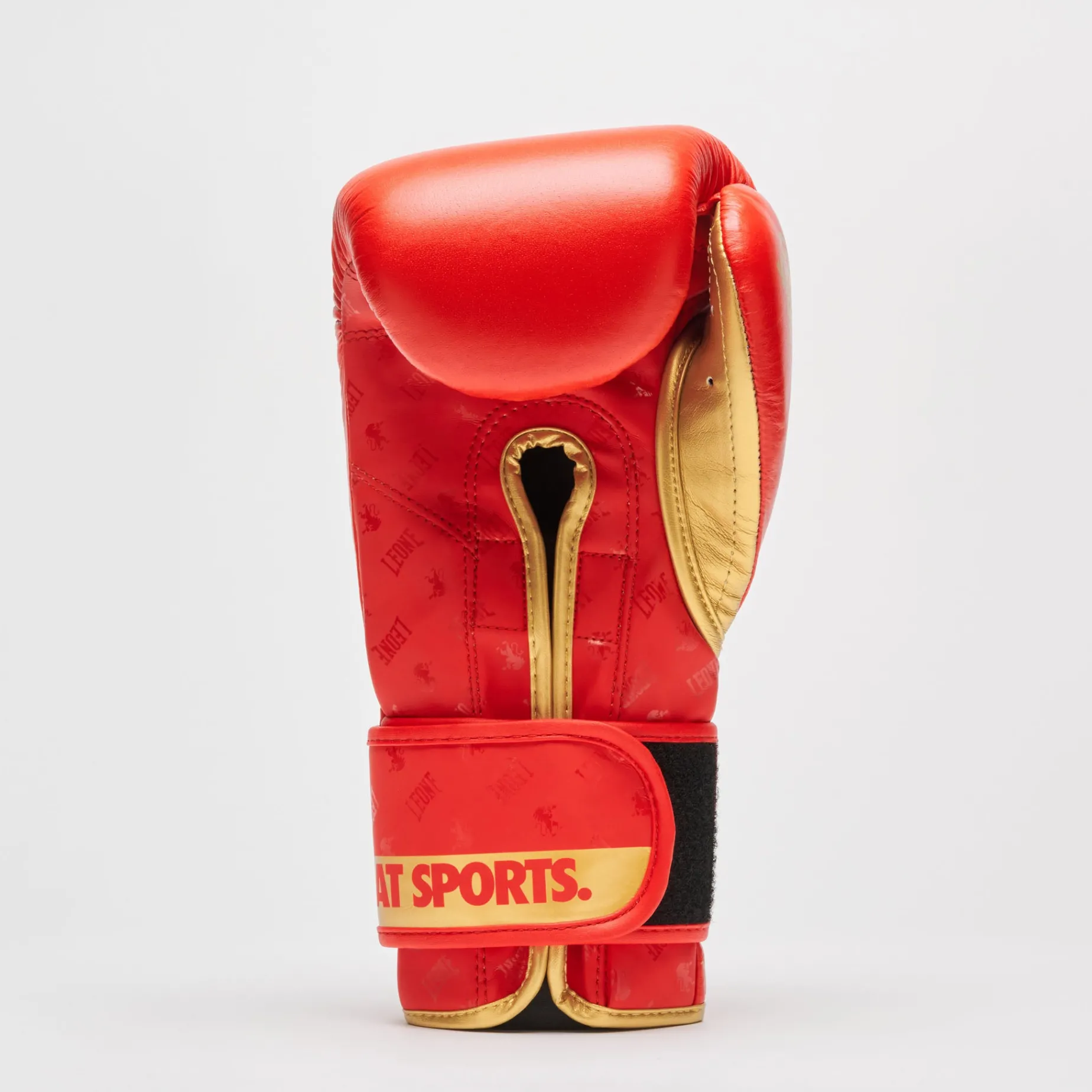 BOXING GLOVES DNA
