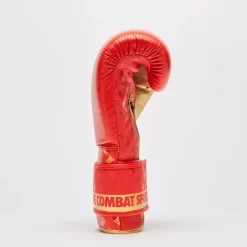 BOXING GLOVES DNA