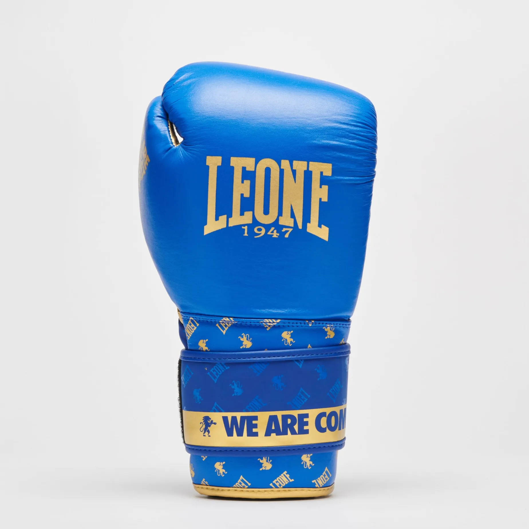 BOXING GLOVES DNA