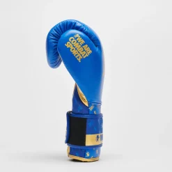 BOXING GLOVES DNA