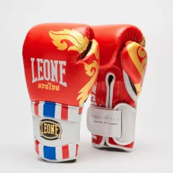 BOXING GLOVES THAI STYLE