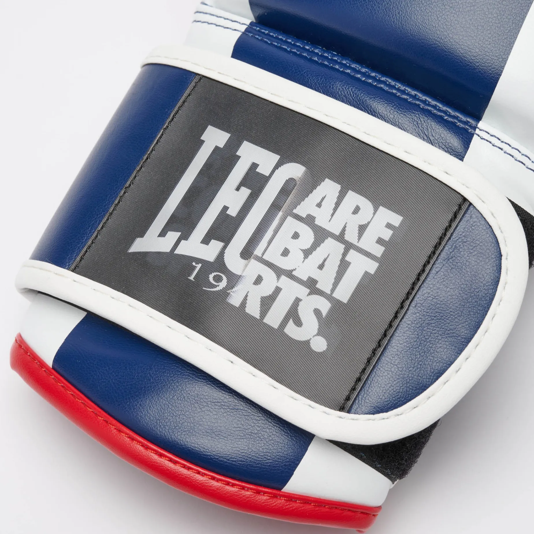 COLOR BLOCK BOXING GLOVES