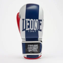 COLOR BLOCK BOXING GLOVES