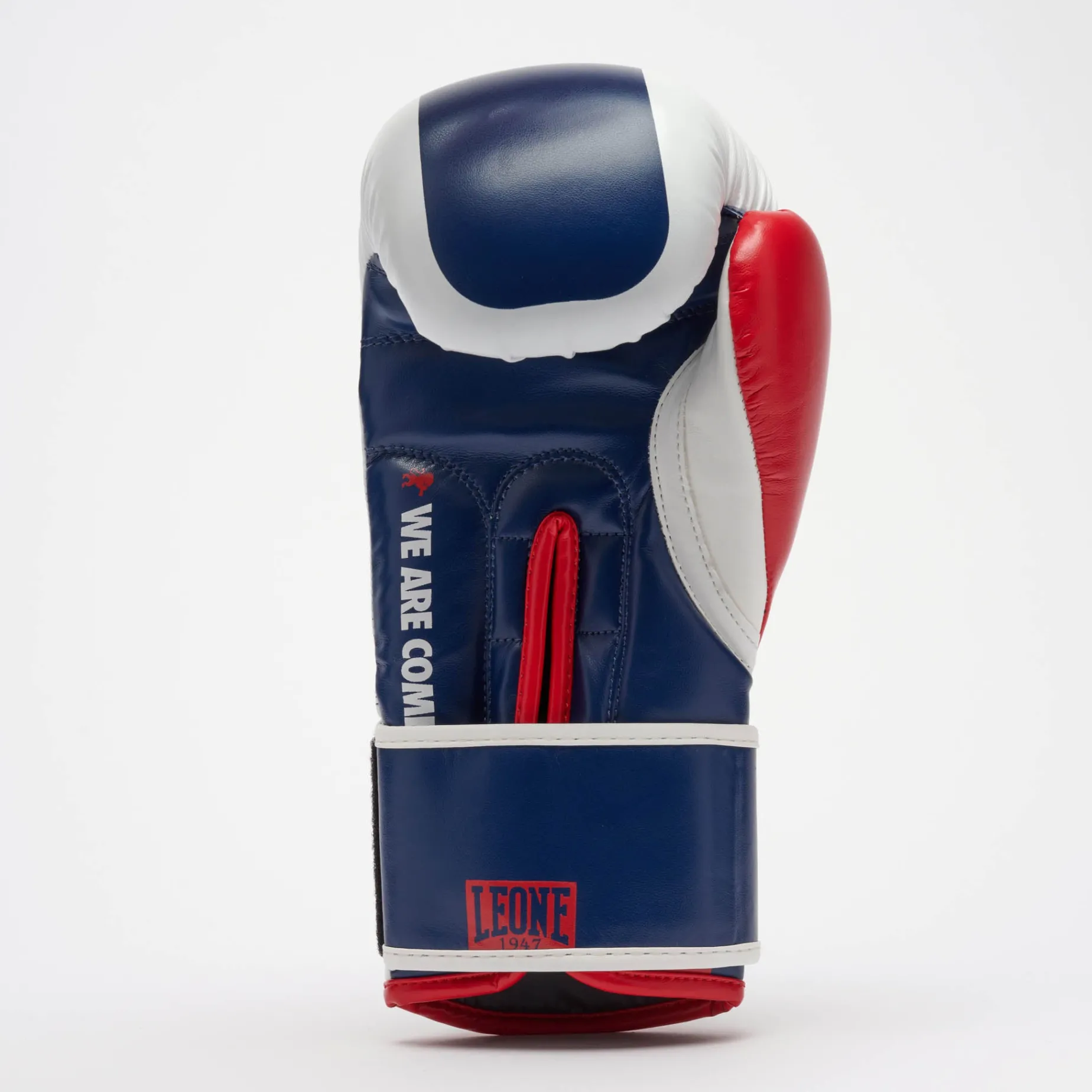 COLOR BLOCK BOXING GLOVES