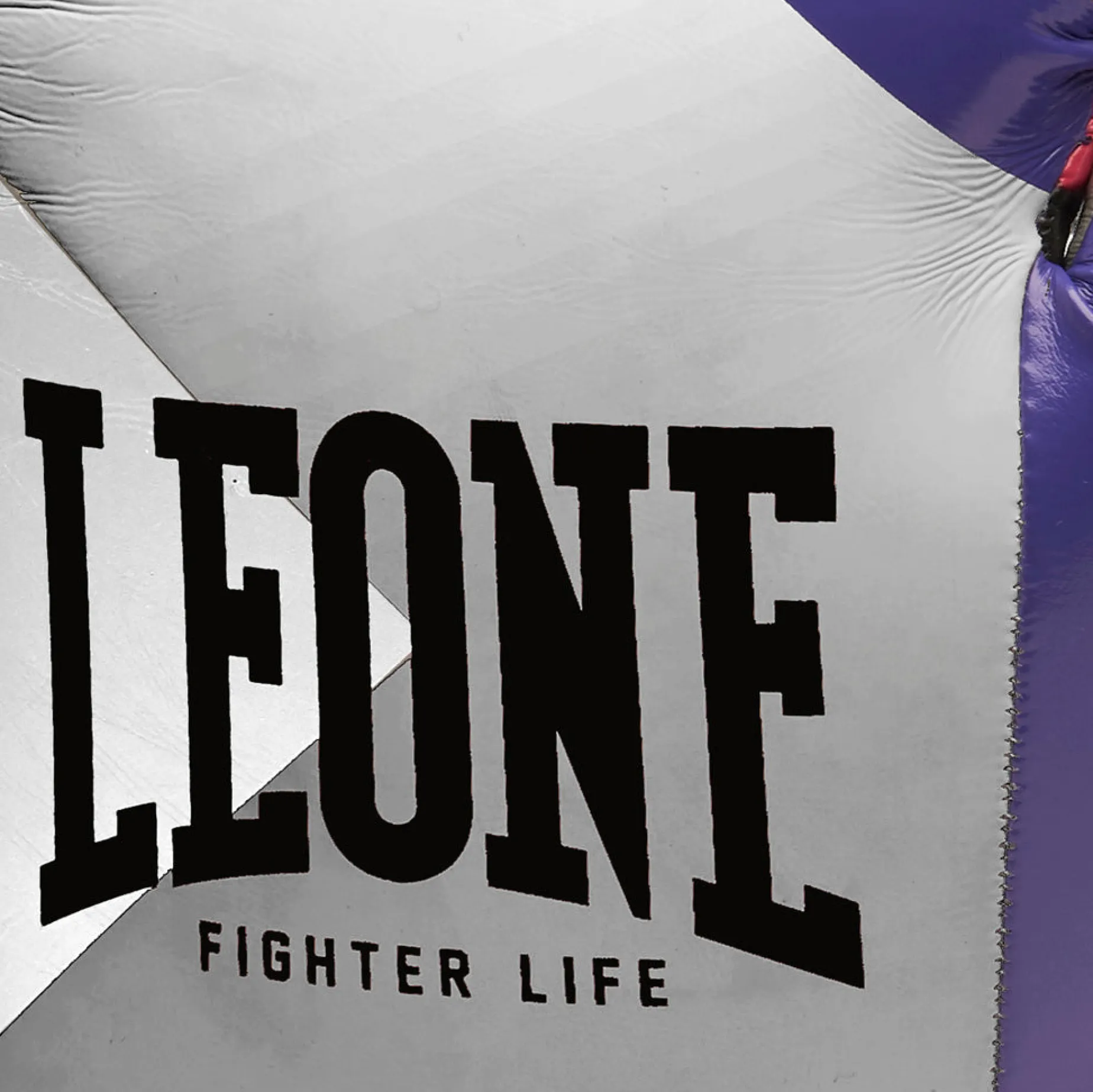 FIGH LIFE BOXING GLOVES