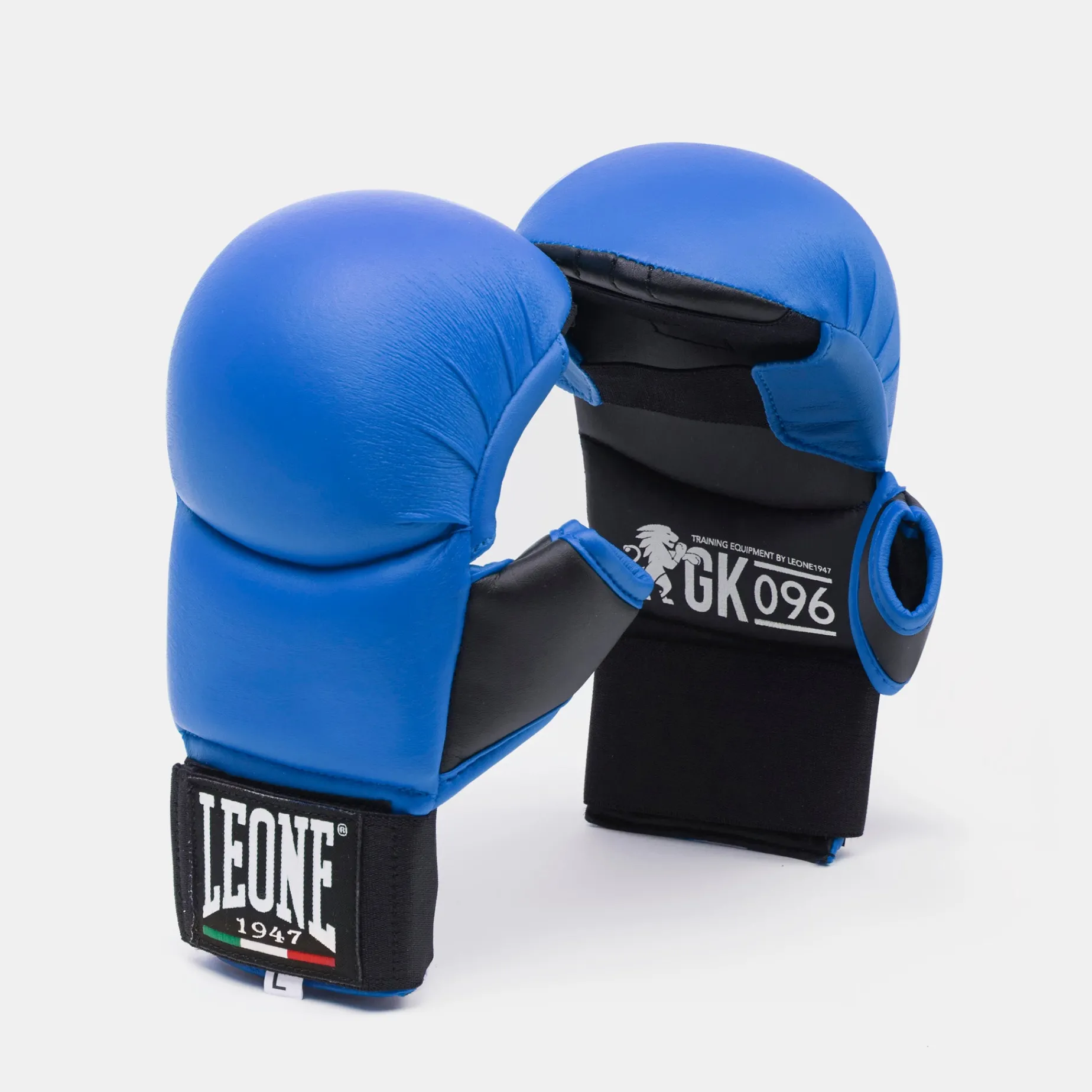 FIT/KARATE GLOVES