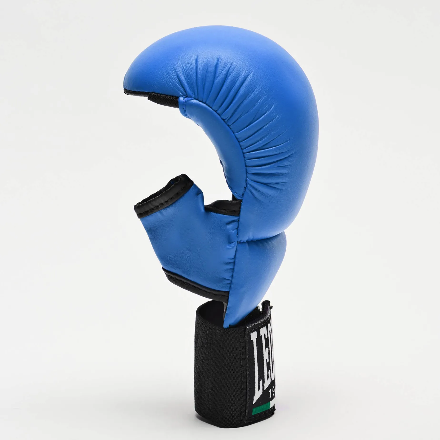 FIT/KARATE GLOVES