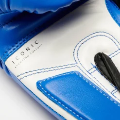 ICONIC BOXING GLOVES