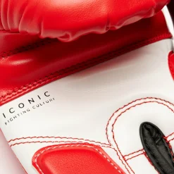 ICONIC BOXING GLOVES