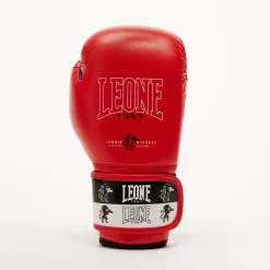 ICONIC BOXING GLOVES