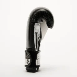 ICONIC BOXING GLOVES