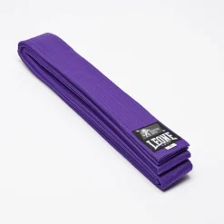 KARATE JUDO BELT
