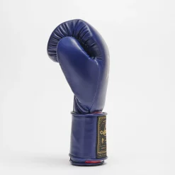 ORLANDO TRICOLORE BOXING GLOVES VELCRO