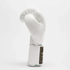 ORLANDO TRICOLORE BOXING GLOVES VELCRO
