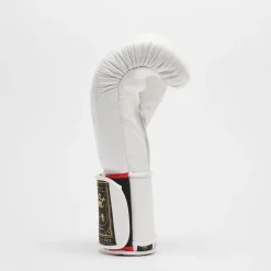 ORLANDO TRICOLORE BOXING GLOVES VELCRO
