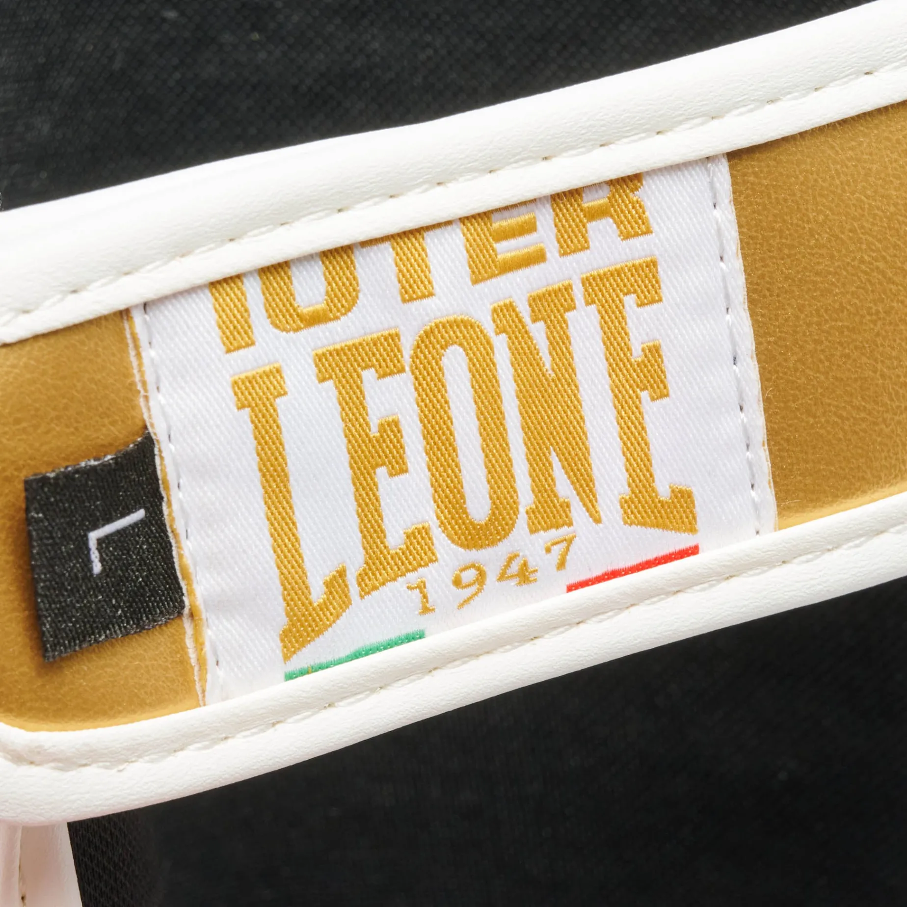 PARATIBIA LEONE X IUTER