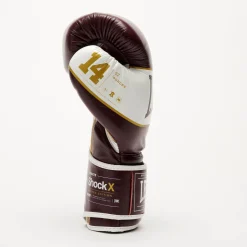 SHOCK X BOXING GLOVES