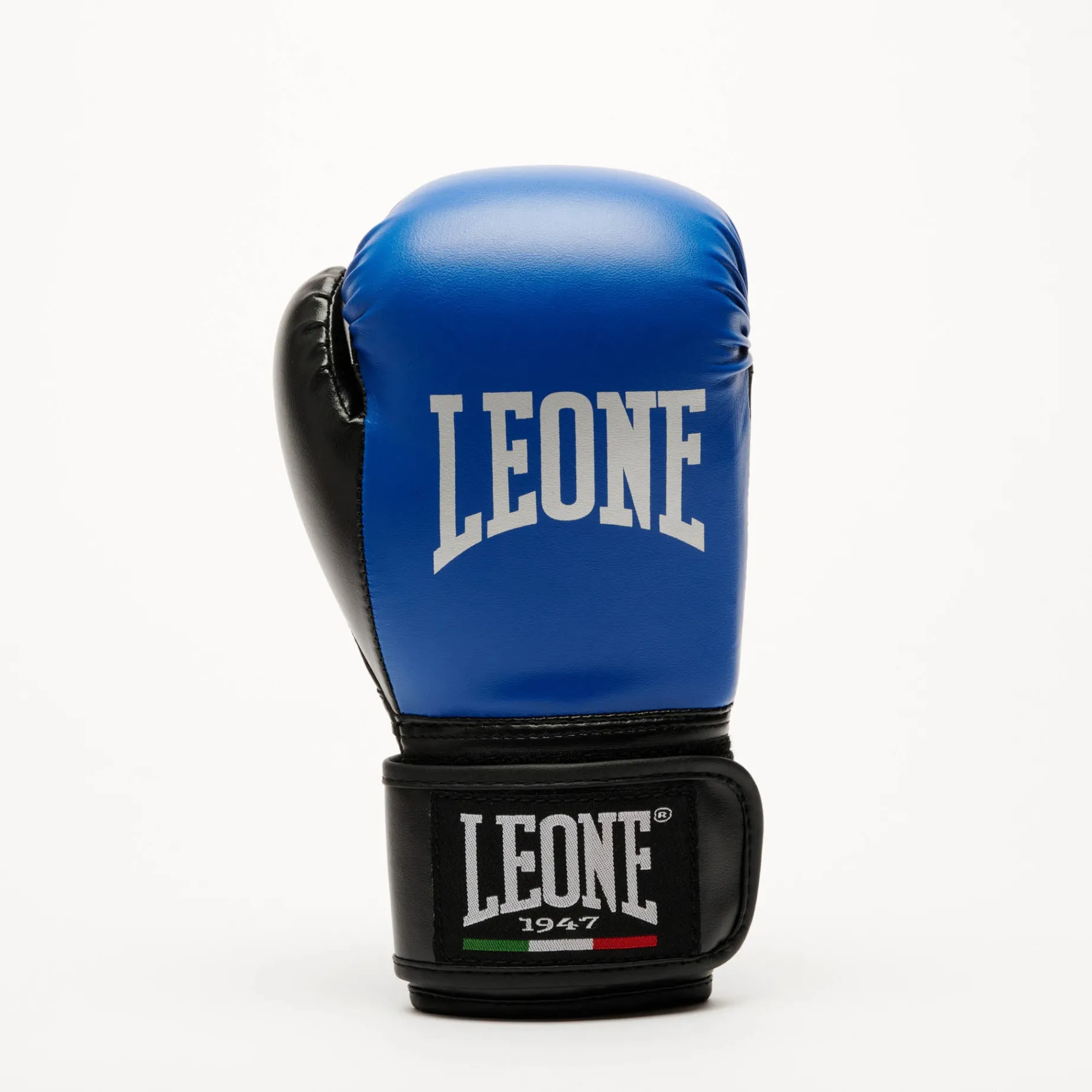 THUNDER BOXING GLOVES